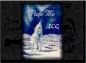 000-ICQ_me.gif (17250 bytes)