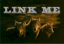 000-button_wolves_link_me.jpg (9745 bytes)