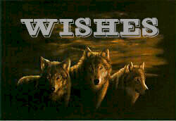 000-button_wolves_wishes.jpg (9640 bytes)