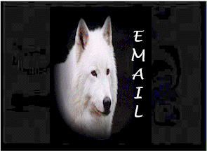 000-email.gif (11004 bytes)